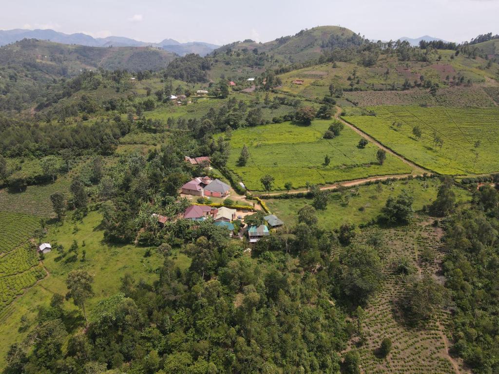 Bwindi my home area